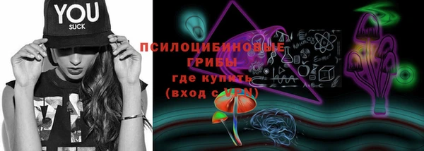 не бодяженный Михайловск