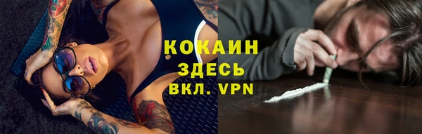 МДПВ Михайлов
