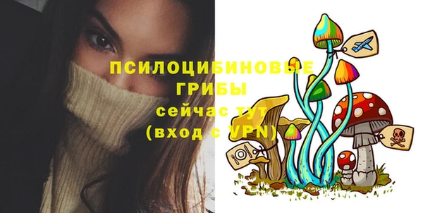 не бодяженный Михайловск